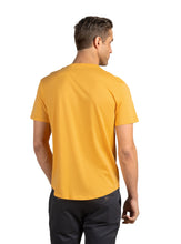 Load image into Gallery viewer, #color_faded sun