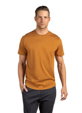 Load image into Gallery viewer, #color_yellowstone