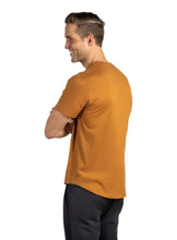 Load image into Gallery viewer, #color_yellowstone