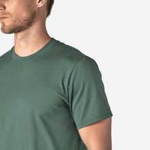 Load image into Gallery viewer, #color_faded forest